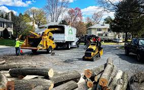 Best Tree and Shrub Care  in Germantown, OH