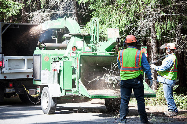 Best Hazardous Tree Removal  in Germantown, OH